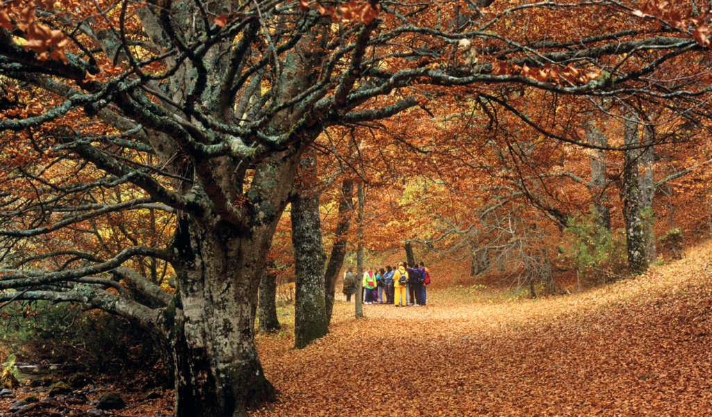 Fundaci&oacute;n Montemadrid