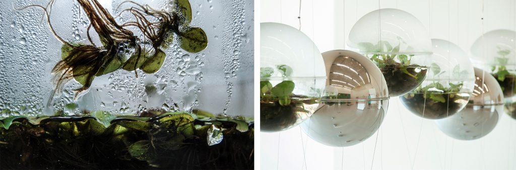 Joaqu&iacute;n Fargas Proyecto Biosfera [detalle] 2006  en proceso 