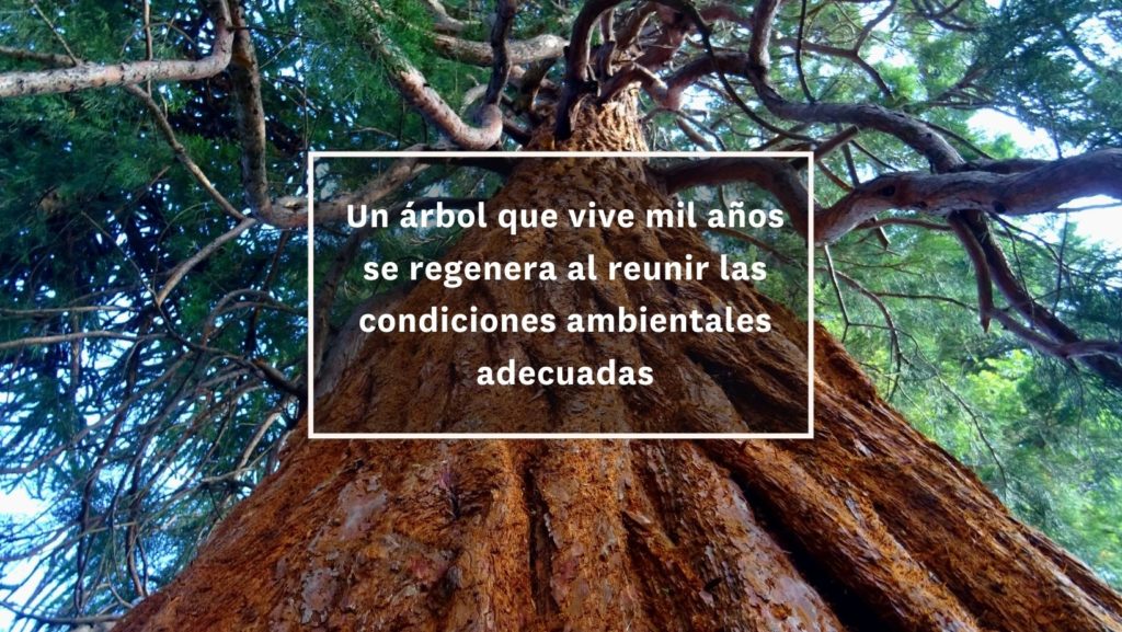 Fundaci&oacute;n Montemadrid