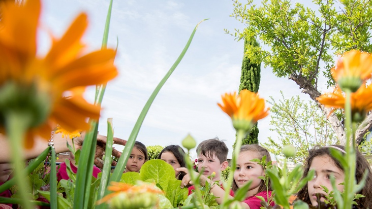 Cursos la casa encendida